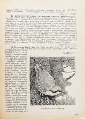 Селивачев Б.В. Иллюстрированный справочник-каталог зоолюбителя. М.: Мосрекламсправиздат, 1930.